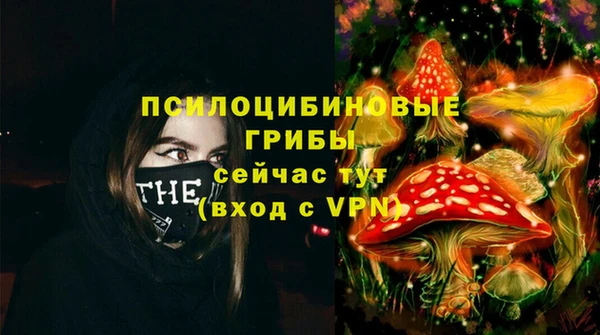 эйфоретик Алзамай