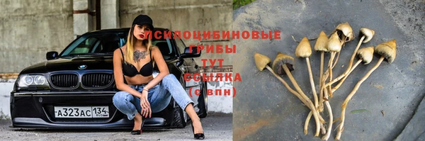 spice Алексеевка