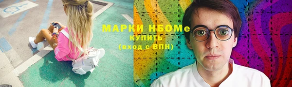молекула духа Арсеньев