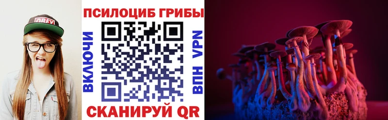 Псилоцибиновые грибы Cubensis  Усинск 